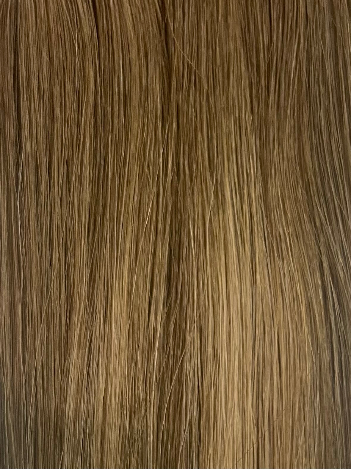 CHESTNUT MELT  (ROOTED)